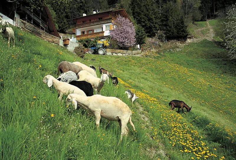 Готель Gasthof Rastlhof Шена Екстер'єр фото